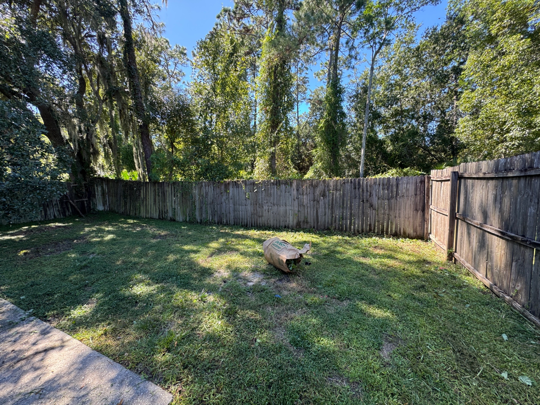 Same backyard after mowing and clearing the fence line