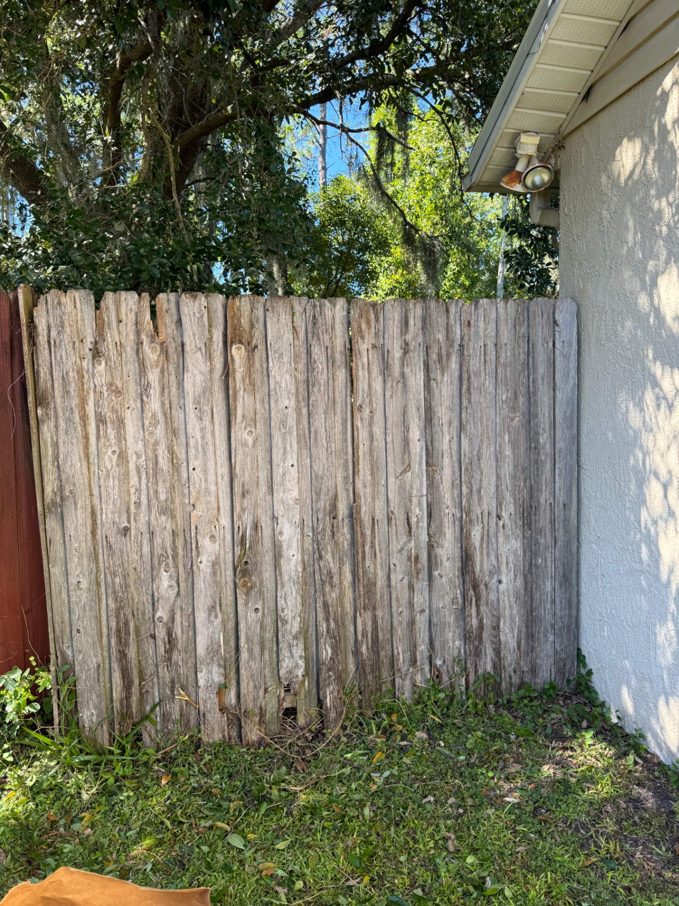 Same fence line after vine removal and detailed cleanup