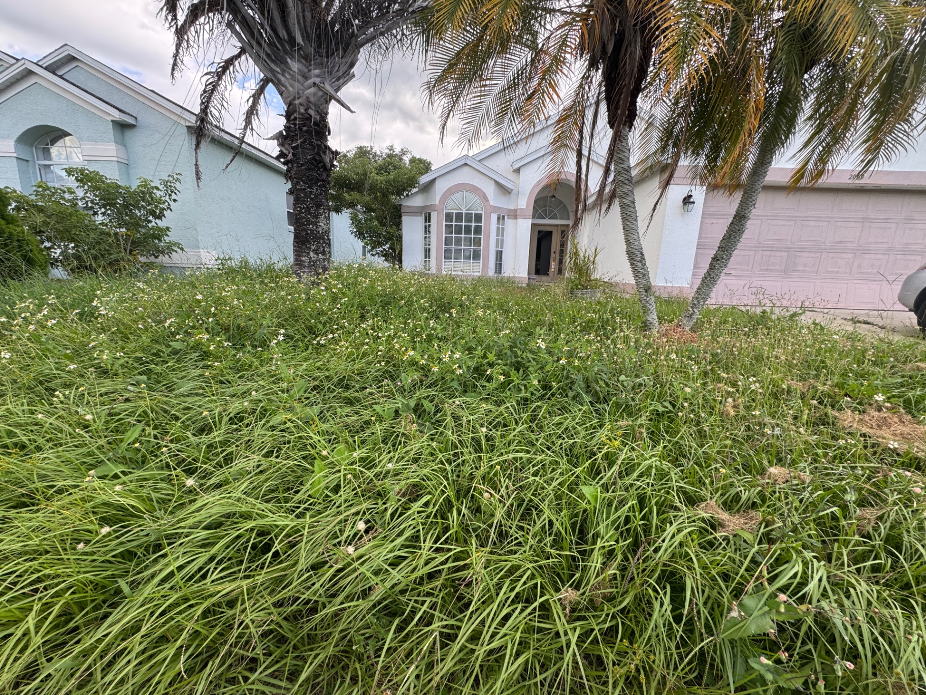 Front yard with tall overgrown grass before service